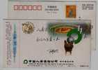 Red Crowned Crane Bird,China 2000 Life Insurance Yugan Branch Advertising Pre-stamped Card - Cranes And Other Gruiformes