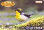 Carte Japon - Oiseau Passereau  - Songbird Bird Japan Card - Vogel Karte - 03 - Pájaros Cantores (Passeri)