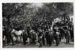 16 - CHARENTE - ROUILLAC - MARCHE - FOIRE Aux CHEVAUX - Rouillac