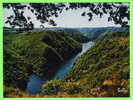 ST-JULIEN-PRÈS-BORT (19) -  LE SITE DE ST-NAZAIRE - GORGE DE LA DORDOGNE -  PHOTO SULLY - - Ussel