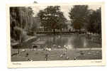 OLD FOREIGN 0383 - Germany Deutschland - Duisburg -Im Tierpark - Duisburg