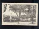 Manosque La Place Des Terreaux & Monument Aux Morts édit.fournier N° 14  Belle Carte - Manosque