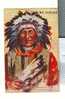 Chief Big Feather  Par L´Illustrateur PETERSON  Carte Gaufrée   -  Embossed - Native Americans