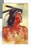 Hiawatha  Par L´Illustrateur PETERSON  Carte Gaufrée   -  Embossed - Native Americans