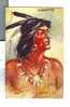 Hiawatha  Par L´Illustrateur PETERSON  Carte Gaufrée   -  Embossed - Indiaans (Noord-Amerikaans)