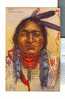 Chief Sitting Bull  Par L´Illustrateur PETERSON  Carte Gaufrée   -  Embossed - Native Americans