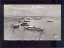 Andernos Les Bains Vue Sur Le Bassin D'arcachon édit.renaud & Buzaud N° 33  Bateau Belle Cpsm - Andernos-les-Bains