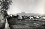 84 - VAUCLUSE - CARPENTRAS - BELLE VUE D'ENSEMBLE Et Du MONT VENTOUX - USINE - Carpentras