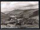 Real Photo Postcard The Valley Of The Broom Ullapool Ross & Cromarty Scotland - Ref 189 - Ross & Cromarty