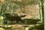 CARTE POSTALE DU DOLMEN DE CHEVRESSE - PARC NATUREL REGIONAL DU MORVAN - Dolmen & Menhirs