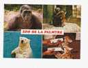 5586 CP ZOO DE LA PALMYRE - Ours - Singes - Gorille - Pumas - Bears