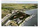 CHARENTE-MARITIME / ANGOULINS-SUR-MER ( Sud De  LA  ROCHELLE ) /  VUE  AERIENNE  GENERALE  /  CHÂTEAU  DE  LA  SAPINÈRE - Angoulins