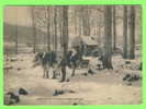 AGRICULTURE - COW TEAM - GATHERING SAP IN VERMONT MAPLE ORCHARD - COWS PULLING SLEIGH - TRAVEL IN 1958 - - Attelages