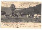 C7057 - Vue Prise De La Ferme De Rosière Vers La Roche Aux Faucons - Esneux