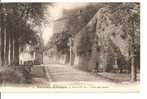 22 -   MONCONTOUR-de-BRETAGNE  -  Porte D´En-Bas - Porte Des Dames - Animée : Un Homme Et Son Chien Près Du Calvaire - Moncontour