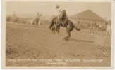 Weiser ID Round-up Rodeo, Bucking Bronco Real Photo Vintage Postcard - Altri & Non Classificati