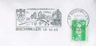 SD0751 La Nature Au Coeur De La Ville Blason Pont Colombage Flamme Bischwiller 1995 - Enveloppes