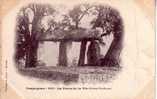 83 - Draguignan - La Pierre De La Fée (Dolmen Druidique) - Draguignan