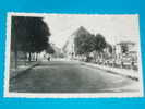 17) Surgéres - Avenue Saint-pierre - Année 1948 - EDIT  Pineau - Surgères