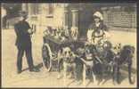 Dog Cart - Milk Seller - Policeman - Police - Gendarmerie