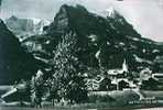SVIZZERA SUISSE GRINDELWALD  MIT FLESCHERHORN UND EIGER V1952  Z8083 - Grindelwald