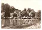 LA PETITE PIERRE   -   ** LA FERME D´IMSTHAL ET LE LAC **    -     Editeur : C.A.P.de Paris   N° 557 - La Petite Pierre