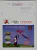 Kite Playing,basketball Court,China 2006 Dafeng No.2 Primary School Advertising Pre-stamped Card - Non Classificati