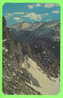 ROCKY MOUNTAINS, CO - MAJESTIC LONG´S PEAK FROM ROCK CUT SHOWING FORET CANYON - SANBORN SOUVENIR CO - - Rocky Mountains