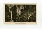 - FRANCE 46 . GROTTES DE LACAVE . SALLE DE L´ELEPHANT ET CIERGE PASCAL . - Lacave