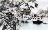 Kinkakuji - Sous La Neige - Kyoto