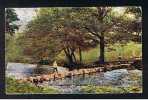 1924 Postcard Children & Stepping Stones At Ambleside Lake District Cumbria - Ref 203 - Ambleside