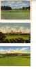 3 Carte Postale De Terrain De Golf  - 3 Vintage Golf Postcards - Golf