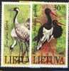 MDB-BK4-385 MINT ¤ LIETUVA 1991 2w In Serie ¤ STORK  OISEAUX - BIRDS - PAJAROS - VOGELS - VÖGEL - - Kraanvogels En Kraanvogelachtigen