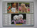 ALMANACH DU FACTEUR LA POSTE 2004 MIGNONS PETITS CHIENS - Altri & Non Classificati