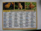 ALMANACH DU FACTEUR LA POSTE 1995 POUSSIN CHATON ET LAPIN - Andere & Zonder Classificatie