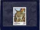 AÑO 1998 ESPAÑA Nº 3529  EDIFIL USADO 772 - Used Stamps