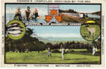 Tourist Bureau Postcard, Fishing Golf Bathing Swimming Hunting Vintage Postcard - Fredericton