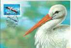 Russia 1991 Birds Stork Card Maximum Bird Fauna - Maximumkarten