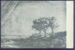 Art - Three Trees, Painted By Rembrandt Van Rijn, 1643 (Rembrandt's 350 Anniversary Picture Poster, China) - Autres & Non Classés