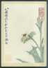 Insect - Insecte - Moth, Painted By QI Baishi, China Vintage Postcard - Insects