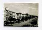 Viareggio - Viareggio