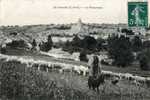 78 - YVELINES - ST ARNOULT - PANORAMA - BERGER Avec Son TROUPEAU De MOUTON - St. Arnoult En Yvelines