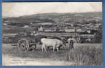 NEUVILLE SUR SAONE - Vue Générale   (ETAT : Lire Le Commentaire ...) - Neuville Sur Saone