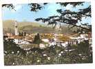 11464)cartolina Illustratoria Malnate -   Panorama - Poststempel