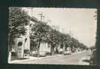 Lamotte Beuvron (41) - Avenue De L'Hôtel De Ville ( Pharmacie Bar Tabac Chasse Pêche Automobile Simca Aronde Ed.VALOIRE - Lamotte Beuvron