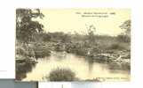 GUINEE -   Marigot De Friguiagbe - Guinea Francesa