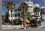 Adventure Into The Past - Charleston, South Carolina - Horse And Carriage - Charleston