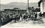 09 - ARIEGE - LAVELANET - AGRICULTURE - ELEVAGE De CHEVRE - LE CHEVRIER - Veeteelt