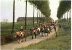 RUTTEN - GROEP VAN DE HACCOEREN - 1 MEI - Tongeren