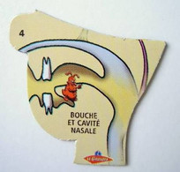 Magnets Le Gaulois Le Corps Humain N° 4 - Characters